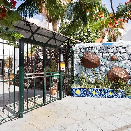 Tortugas Perfect By Sunkeyrents