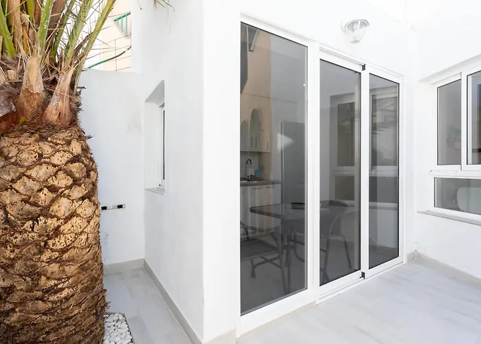 Daire Tortugas Perfect By Sunkeyrents